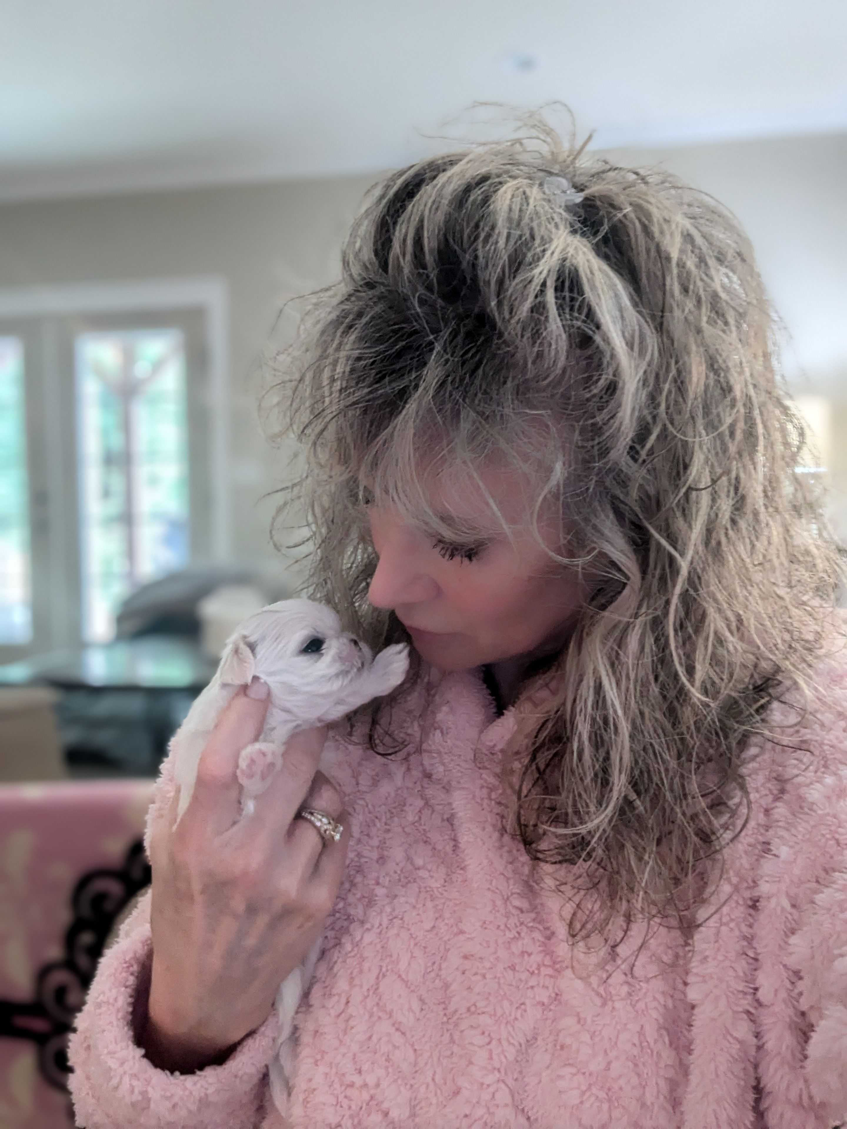 Shalisa holding one of her newborn babydoll Maltese puppies